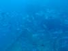 259 - Dive4-3 Fujikawa Maru