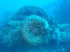 114 - Dive6-1 San Francisco Maru