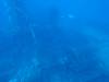 151 - Dive6-1 San Francisco Maru