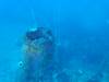 154 - Dive6-1 San Francisco Maru