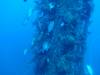 155 - Dive6-1 San Francisco Maru
