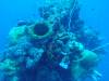 170 - Dive6-1 San Francisco Maru
