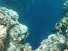 100 - Palau9-2 Virgin Blue Hole