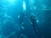 108 - Palau9-2 Virgin Blue Hole
