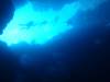 114 - Palau9-2 Virgin Blue Hole