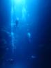 117 - Palau9-2 Virgin Blue Hole