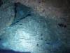 125 - Palau9-2 Virgin Blue Hole