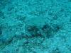 149 - Palau9-2 Virgin Blue Hole