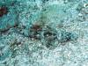 151 - Palau9-2 Virgin Blue Hole