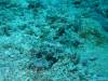 152 - Palau9-2 Virgin Blue Hole