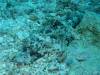155 - Palau9-2 Virgin Blue Hole