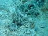 156 - Palau9-2 Virgin Blue Hole