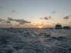 100 - Carpe Novo Maldives Misc