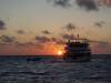 102 - Carpe Novo Maldives Misc