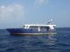 133 - Carpe Novo Maldives Misc
