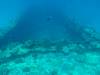 101 - Maldives2-2 Galhu Faihu Wreck