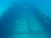 102 - Maldives2-2 Galhu Faihu Wreck