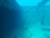 103 - Maldives2-2 Galhu Faihu Wreck