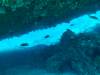 107 - Maldives2-2 Galhu Faihu Wreck