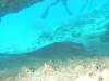 111 - Maldives2-2 Galhu Faihu Wreck