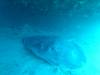 115 - Maldives2-2 Galhu Faihu Wreck