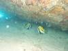 118 - Maldives2-2 Galhu Faihu Wreck