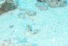 103 - Maldives3-1 Maa Giri Rock