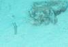 107 - Maldives3-1 Maa Giri Rock