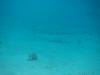 110 - Maldives3-1 Maa Giri Rock