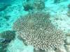 127 - Maldives3-1 Maa Giri Rock