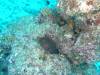 128 - Maldives3-1 Maa Giri Rock