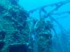 111 - Maldives3-2 Kuda Giri Wreck