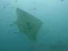 103 - Maldives8-2 Kotte Rock Mantas