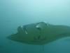 144 - Maldives8-2 Kotte Rock Mantas