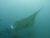 153 - Maldives8-2 Kotte Rock Mantas