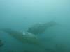 166 - Maldives8-2 Kotte Rock Mantas