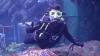 102 - 20211112 Dubai Mall Aquarium Dive