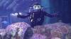 103 - 20211112 Dubai Mall Aquarium Dive