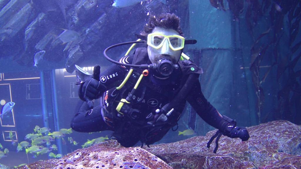 102 - 20211112 Dubai Mall Aquarium Dive