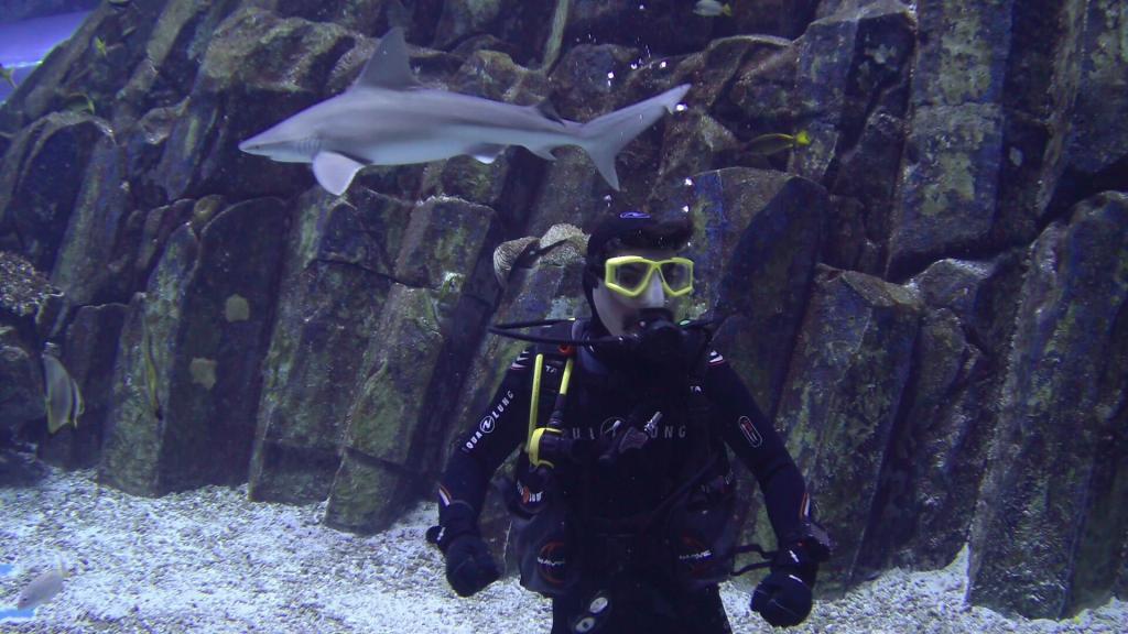 108 - 20211112 Dubai Mall Aquarium Dive