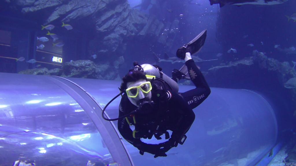 117 - 20211112 Dubai Mall Aquarium Dive