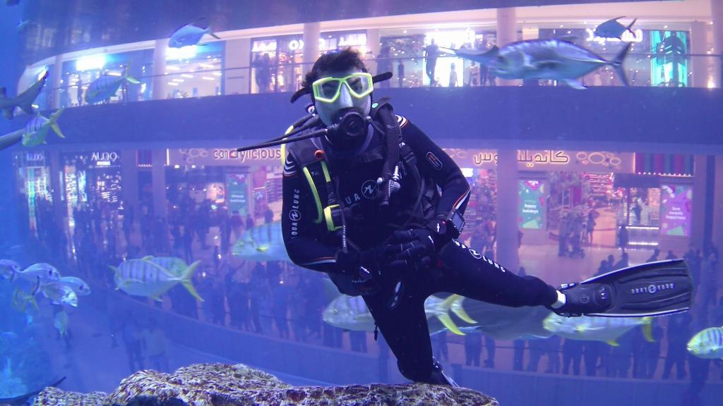 122 - 20211112 Dubai Mall Aquarium Dive