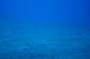 106 - Dive1-1 Kona Big Island Divers