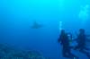 127 - Dive1-1 Kona Big Island Divers