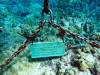 139 - Dive2-3 Kona Shore Divers