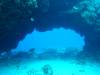 101 - Dive3-1 Kona Big Island Divers