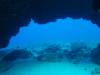 102 - Dive3-1 Kona Big Island Divers