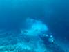 106 - Dive3-1 Kona Big Island Divers