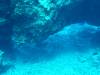 112 - Dive3-1 Kona Big Island Divers