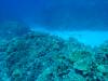113 - Dive3-2 Kona Big Island Divers